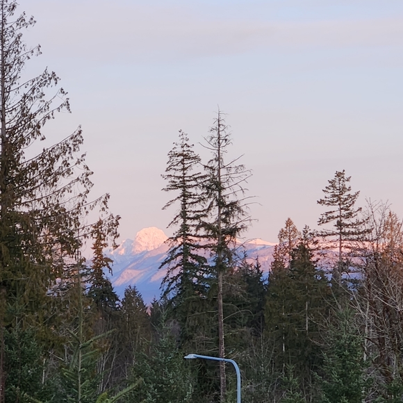 Classiques Size Large White and Pink and White Floral Rose Long Vintage Sweater - Picture 5 of 10